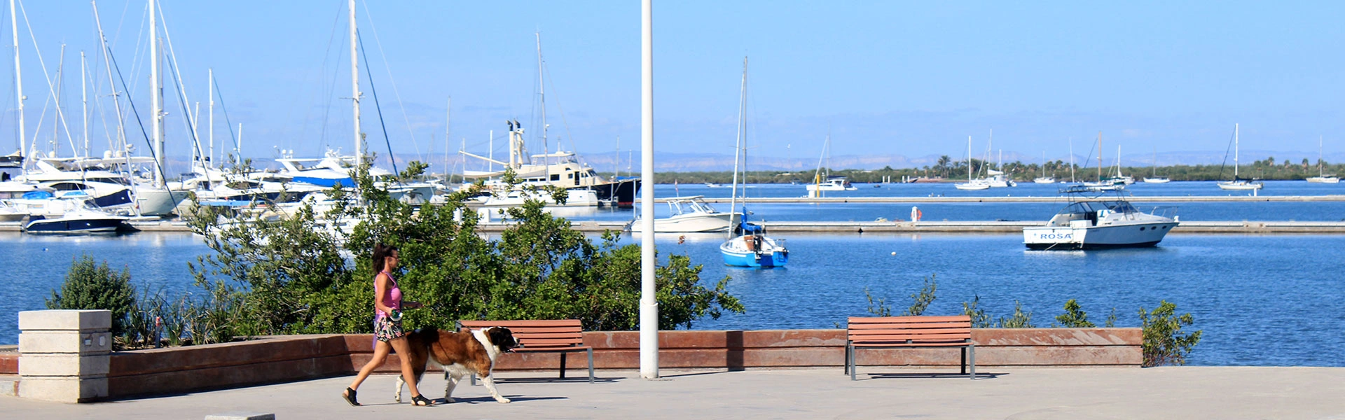 La Paz, Baja California Sur — Malecón waterfront