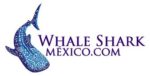 Whale Shark Mexico